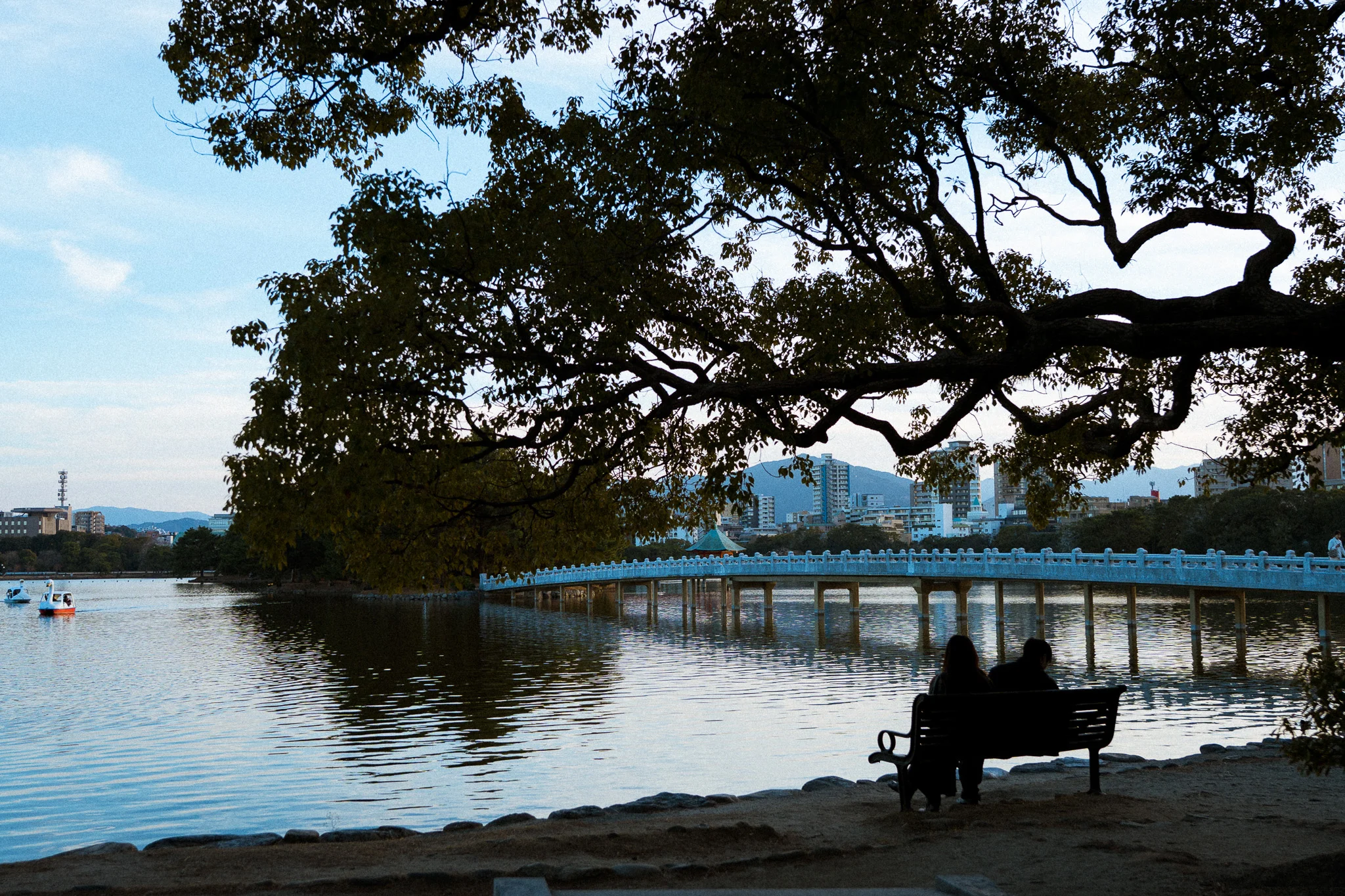 大濠公園のベンチと夕暮れ