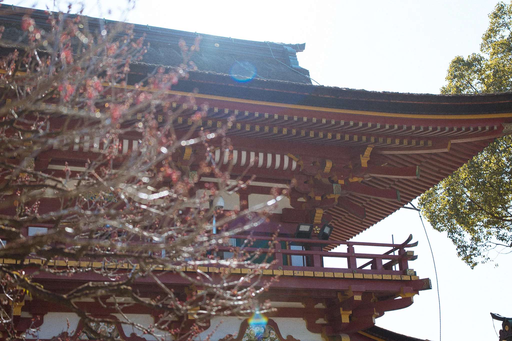 福岡 photo log vol.3