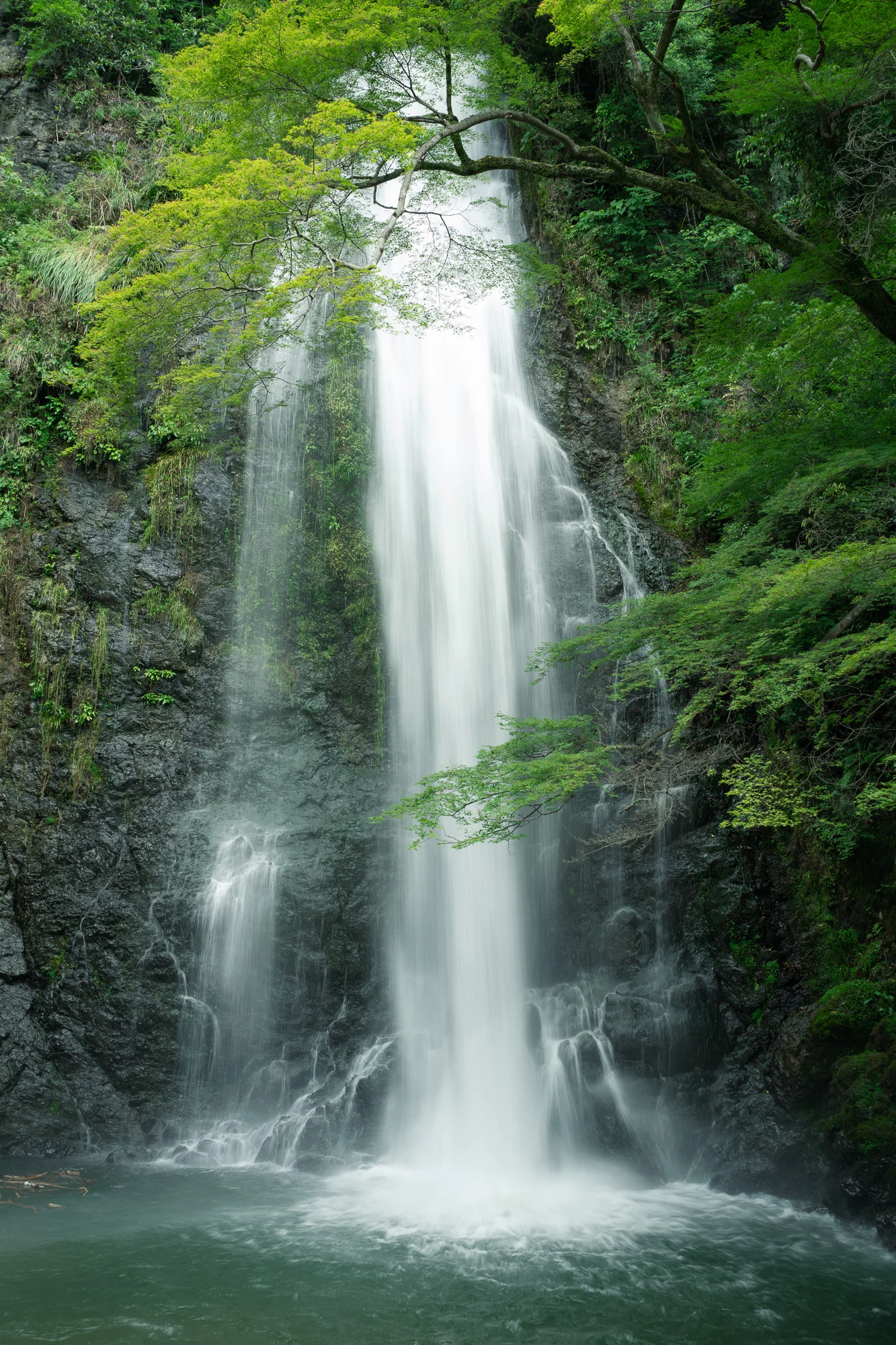 箕面 photo log vol.2